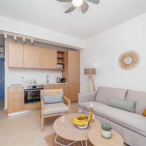 blue-lefkada-luxury-apartments-kitchen-sofa-chairs-copy.jpg