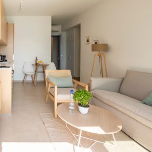 lefkada-blue-luxury-apartments-sofa-lamp-television-copy.jpg